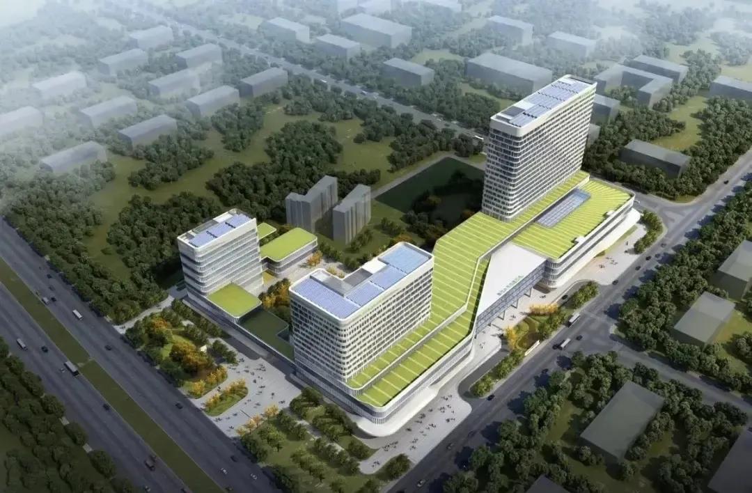 高原瑰宝,青海生态与文化探秘